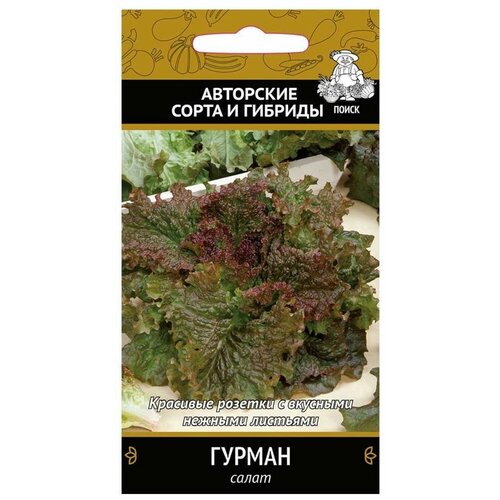 ������ ������ ������ ����� ����� ������, 1 � ����