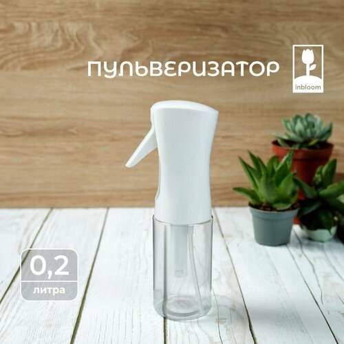 ������ ������ ������������� 200��, ������� ����