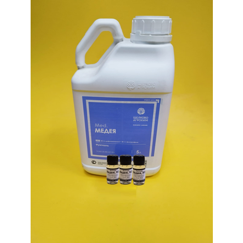 ������ ������ �������� ����� �� ����� �� ������ � ��������� 3 �� �� 10 �� ����