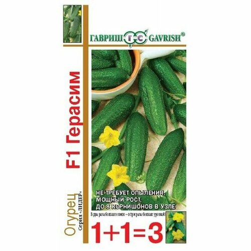 ������ ������ ������ ������ ������� F1 ����, �����������, (������) 20�� ���1+1 ����