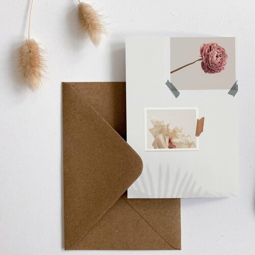 ������ ������ �������� meswero / classic / aesto rose ����