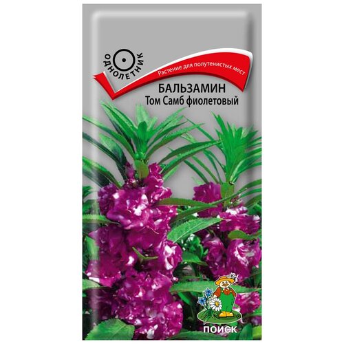 ������ ������ ��������� ��� ���� ���������� ����