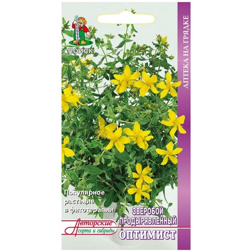 ������ ������ ������ �������� �������������� �������� 0,1 ��. ����