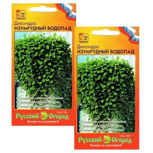 ������ ������ �������� ���������� ������� 2 ������ ����� ����