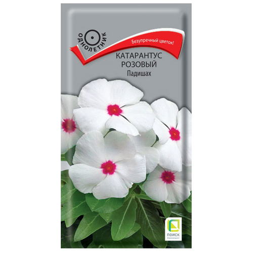 ������ ������ ������ ���������� ������� ������� ���������� 0,1 ��. ����