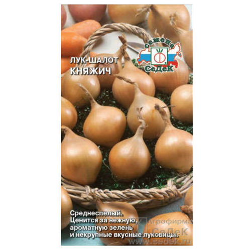 ������ ������ ��� ����� ������ ����