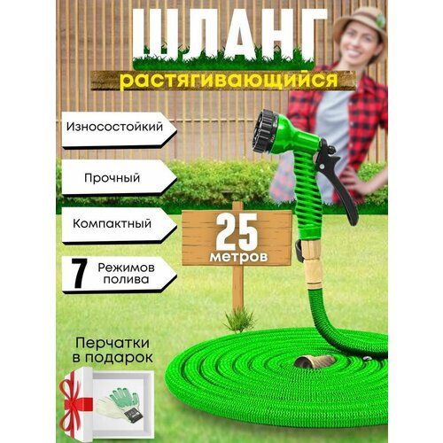 ������ ������ ����� ������� ���������� ���������������, 25 ������ ����