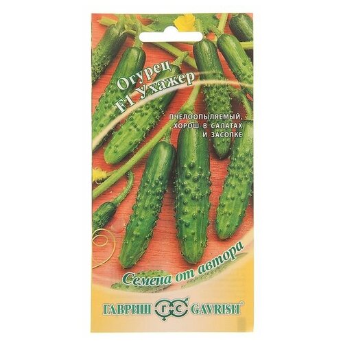 ������ ������ ������ ������ ������ �� ������ ������ F1 ������ 10 ��. ����