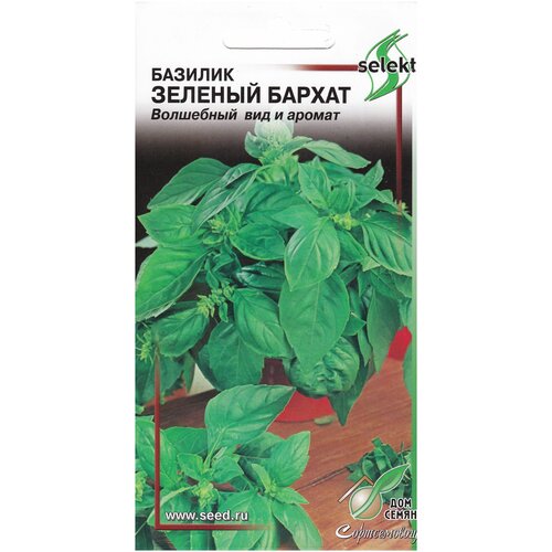 ������ ������ ������� ������� ������, 120 ����� ����