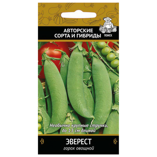 ������ ������ ������� ����� 