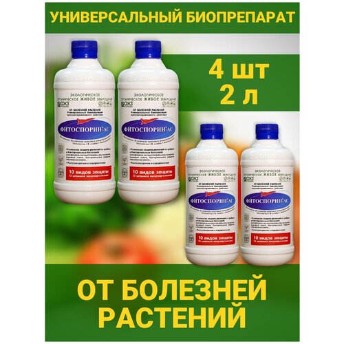 ������ ������ ���������� �� ������������� ��������� ������������������ �������� ��� ������������ ������ ������� �������� �� ������� �������� 4 ������� �� 0,5� ����