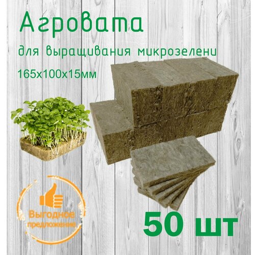 ������ ������ �������� ��� ����������� �����������. ����