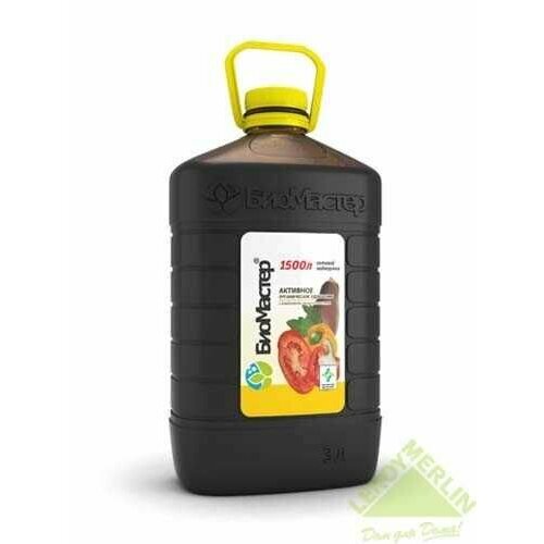 ������ ������ ��������� ��������� ������������� ������������ 3 � ����