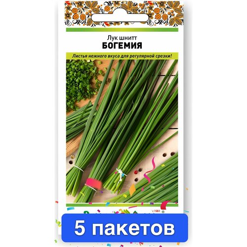 ������ ������ ������ ������ � ��������� ������� ������ 