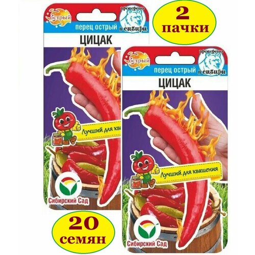 ������ ������ ����� ������ ����� (2 ��������*10 �� �����) ��������� ��� ����