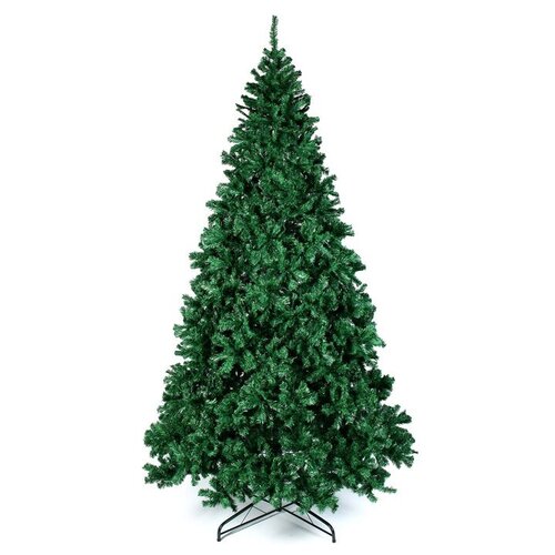 ������ ������ ��� ������������� ������ ���������� ���������, 300 �� ����