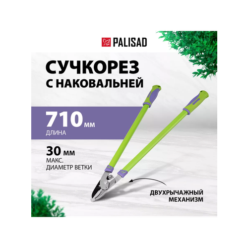 ������ ������ �������� � �����������, 710 ��, ������������ ��������, ���������������� ��������, Palisad ����