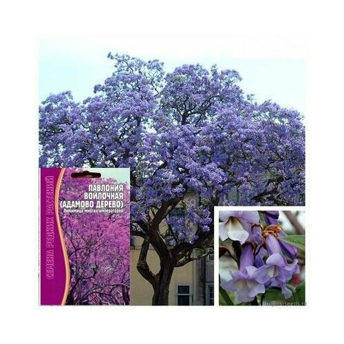 ������ ������ ������ ������ �������������: �������� ��������� (������� ������) ����