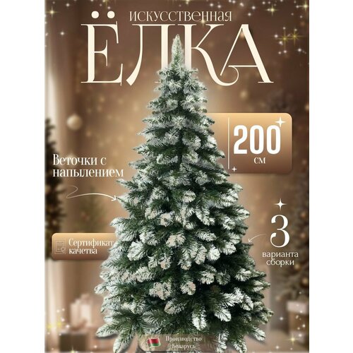 ������ ������ ������������� ���������� ���� SorS 200�� ����