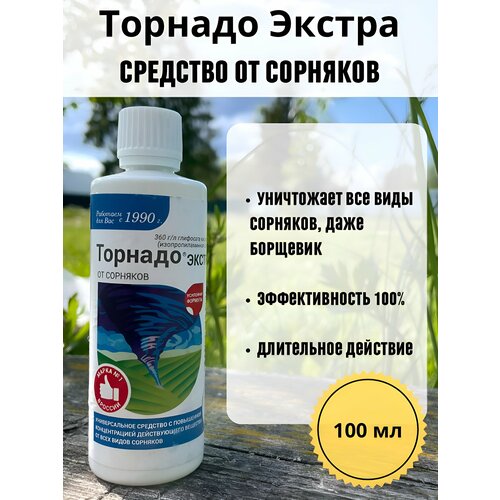 ������ ������ ���������� �������� �� �������� 100 �� ����