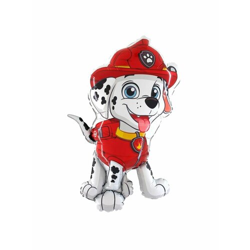 ������ ������ ��������� ������ �� ���� �������� �������, �������������� ��� ������� ������� ������ ����