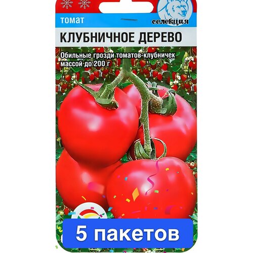 ������ ������ ������ ������ ��������� ��� 