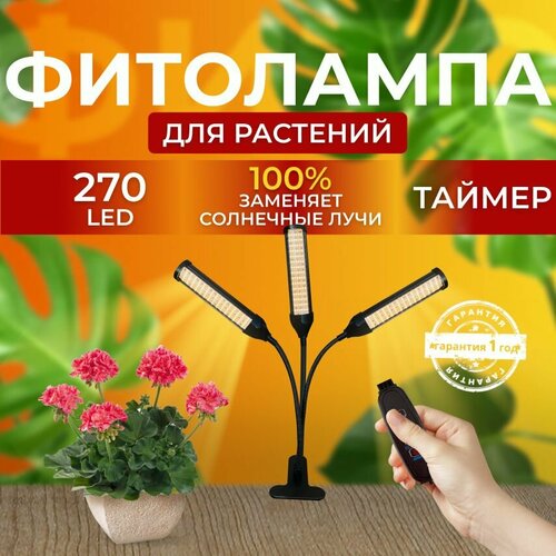 ������ ������ ��������� ��� ����������� �������� ������� ������ ������ �������������� ������������ ��� ������ �� ������ ������� � ��������� � ��������, 3 ����� ����