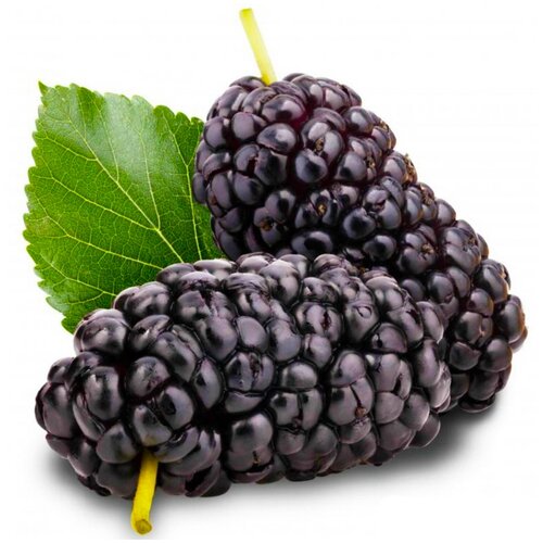 ������ ������ ������ ��������� ��������� ������ ����������, 30 �� ����