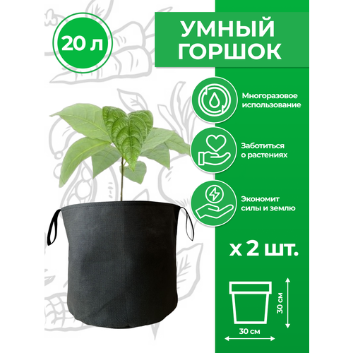    ( )     Magic Plant 20  2    -     , -,   