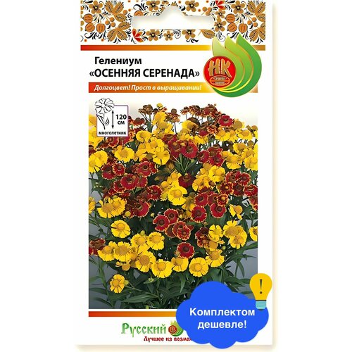 ������ ������ ����� �������� ������� �������� ����