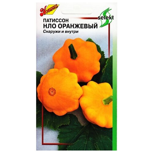 ������ ������ �������� ��� ���������, 17 ����� ����