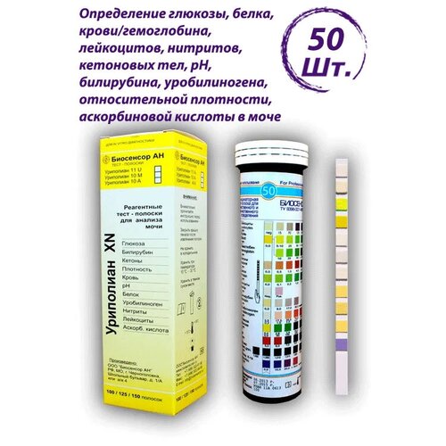 ������ ������ ����-������� ���������-11� ������������ ��� ������� ���� ����