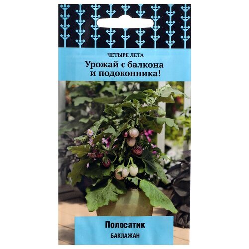 ������ ������ �������� 