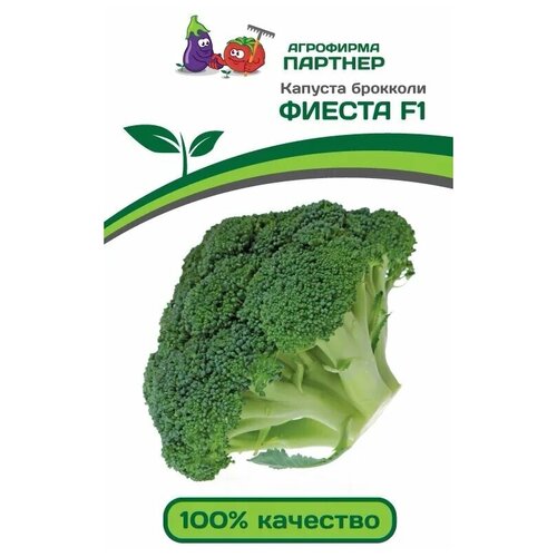 ������ ������ ������� �������� 