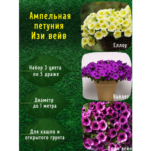 ������ ������ ��������� ������� ���������������� ������ ��� ���� �����, ������, ����� �� 5 ����� ����