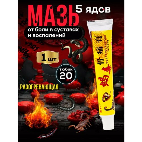 ������ ������ ��������� ���� ��� �������� �� ���� GUTONG GAO 1�� ����