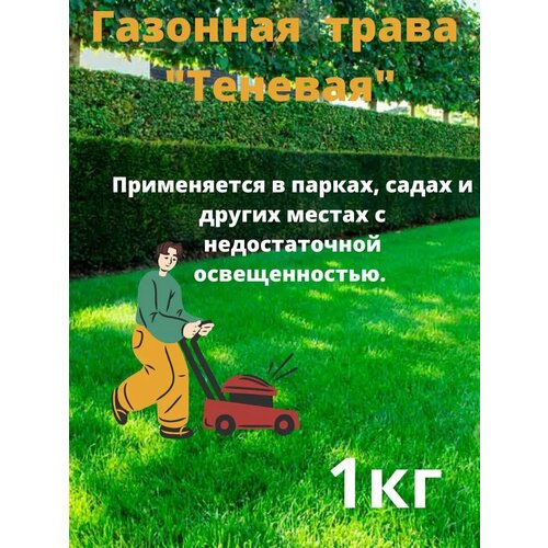 ������ ������ �������� ����� 