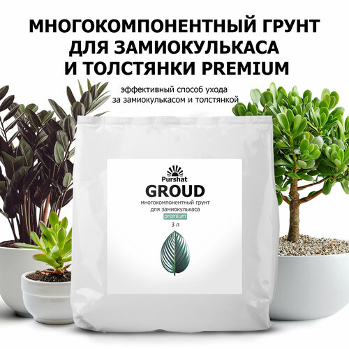 ������ ������ ����� Premium ������ 3 � ��� ������������� � �������� � ���� ������ ��������, ��������� ������ ����