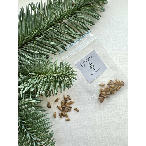 ������ ������ ������ ����� ��������� ����