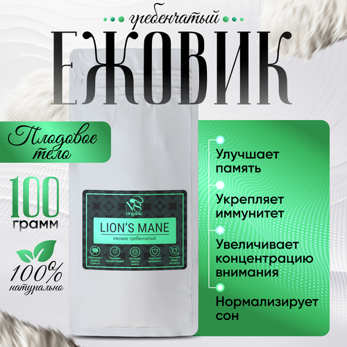   ,  lions mane,  100 .   -     , -,   