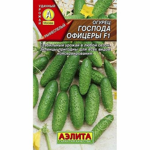 ������ ������ ������ ������ ������� ������� F1 ��, �����������, (������) 10�� ����