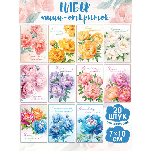 ������ ������ ����������� ����-�������� � ����������� ����� 20 �� ����