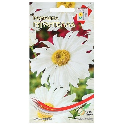 ������ ������ ������ ������� 