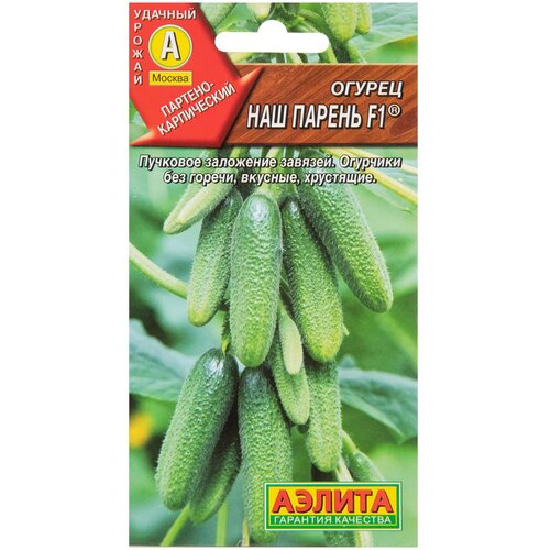 ������ ������ ������ ������ 