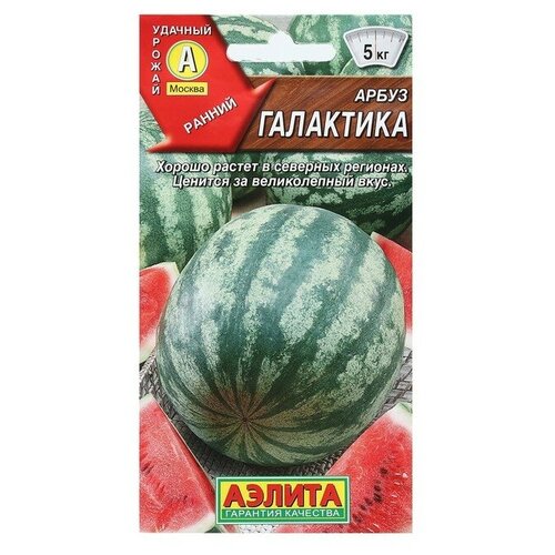 ������ ������ ������ ����� ���������, 1 � ����