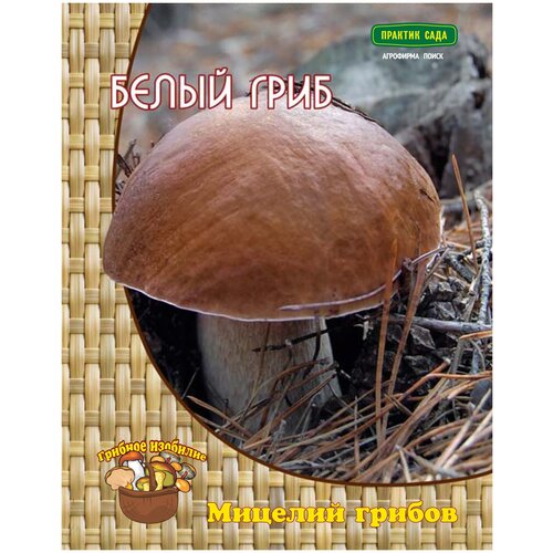 ������ ������ ������� ������ ����� ����� ����, 60 �� ����