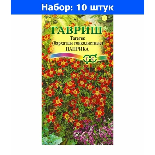 ������ ������ ������ ������ �������� ������������ ������� 0,05�, 10 ��. ����