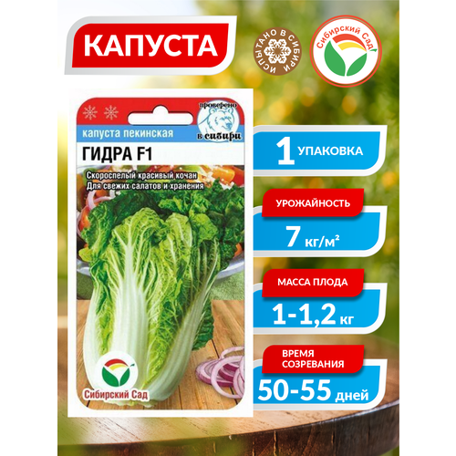 ������ ������ ������� ��������� ����� F1 ����