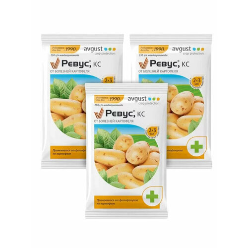 ������ ������ Avgust �������� �� �������� ��������� �����, ��, 2 ��. � 3 �� 3 ����� ����