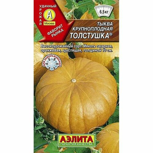 ������ ������ ������ ����� ���������, ������������, (������) 1� ����